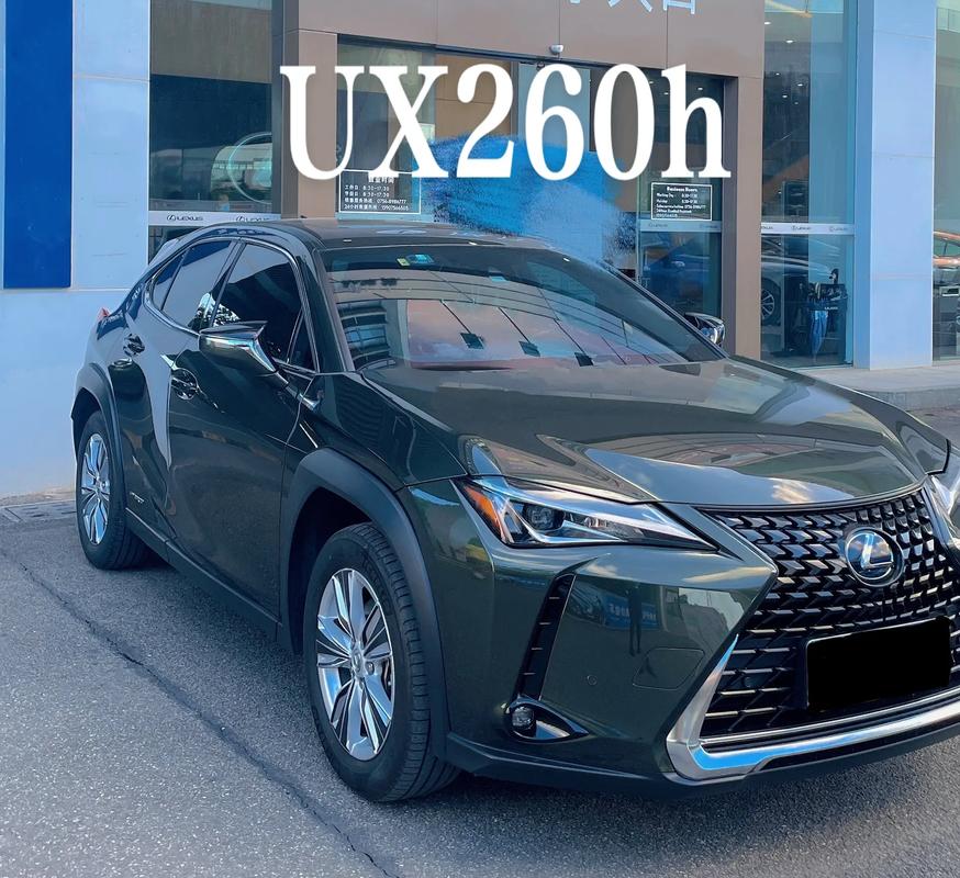 仰望汽车用户体验与服务优化,雷克萨斯未来汽车技术的探索者